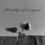 آهنگ کاشکی هوامو داشتی پا نمیذاشتی روی دلم