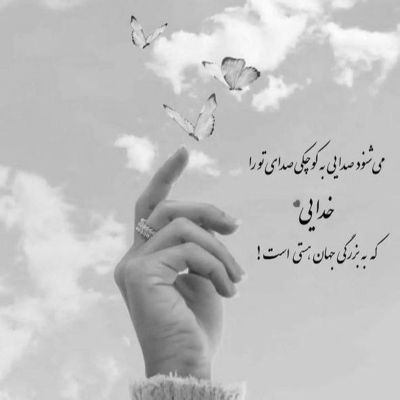 آهنگ زدم سر بس که بر دیوار تکیده بر قفس بالم
