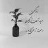 آهنگ دلم برات پر میزنه به سیم آخر میزنه