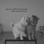 آهنگ بی معرفت قول من هنوز سر جاشه