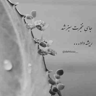 آهنگ آخرش یه من میمونم یه تو
