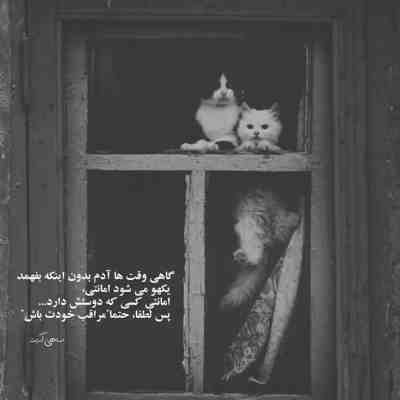 آهنگ هرچی بشه از کنار هم نمیریم