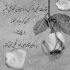 آهنگ سرتو بذار رو شونم که بشوره ببره دلشوره هامو