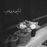 آهنگ گل بهاری خوشکل من رو تنم گل کن و ریشه بزن