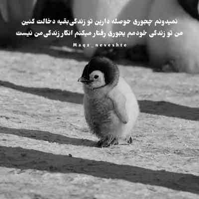 آهنگ فدای یه تار موت بریم یه جای دور