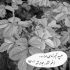 آهنگ مال خودم باش فقط باش که دنیامی تو