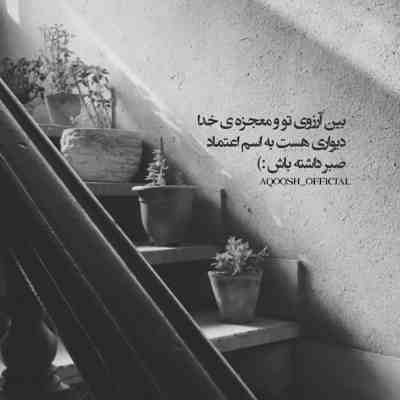 آهنگ لاله همه دارن میگن بابای شما پولداره