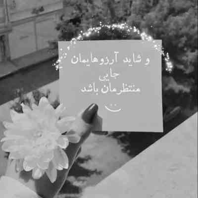 آهنگ من گل آفتابگردونم خیره به چشمات میمونم