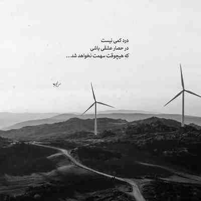 آهنگ من عرضشو دارم