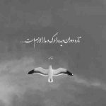 آهنگ هر شب از سقف خیالم یاد عشقت میچکد