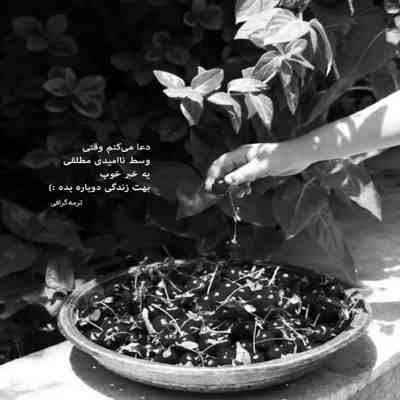آهنگ فدای طرز نگات