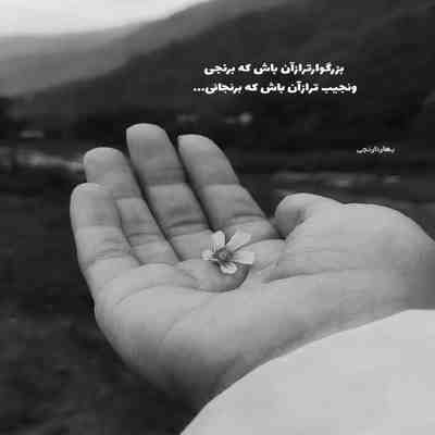 آهنگ امشب چه شبیست شب مراد است امشب