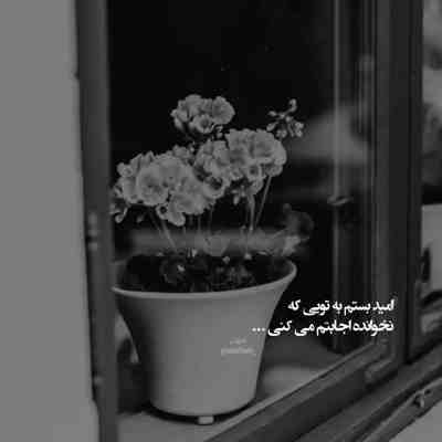 آهنگ جمجمه شده قمقمه