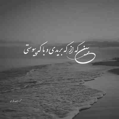 آهنگ بشکن در قفس را