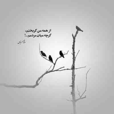 آهنگ گل گل گل از همه رنگ