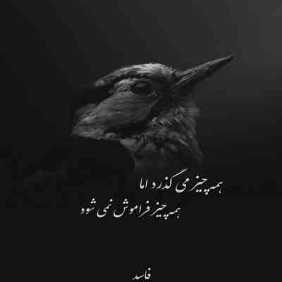 آهنگ اصلا نمیدونم بزنم تو رو چی صدات