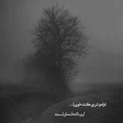 آهنگ سلام الاغ عزیز حالت چطوره