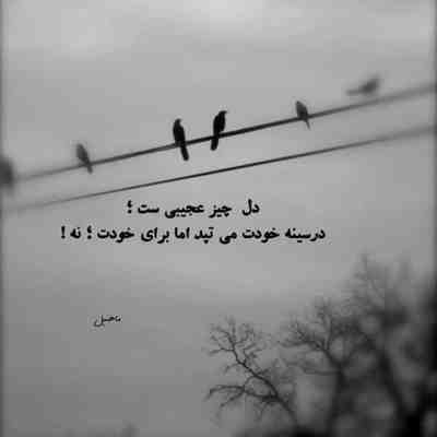 آهنگ نه نه نه چه غلطی کردم
