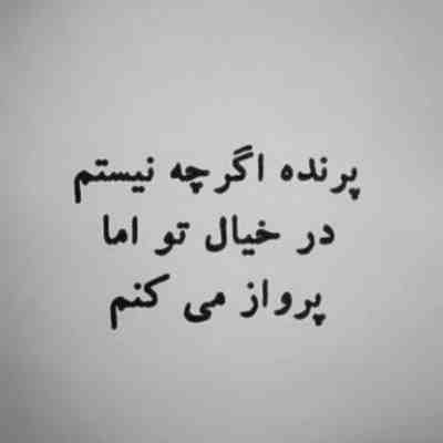 آهنگ گربه هارو سلاخی میکنن