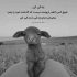 آهنگ بیخیال بزار همه برن همه به من بدی کردن آخر