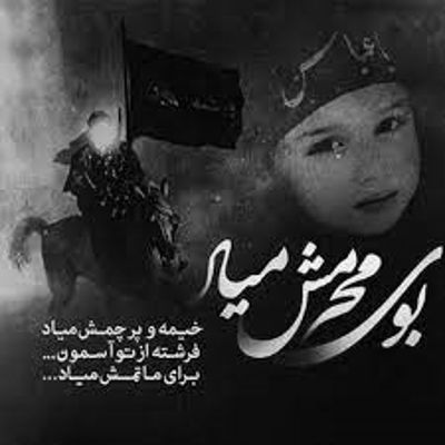 مداحی گردش زمین بر مدار نجف ممکن است