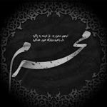مداحی دلم بی تابه واسه محرمت
