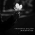 آهنگ شبو روزام شاهدن تو بودی مال من نموندی پای من