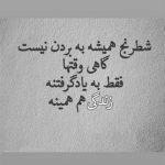 آهنگ دست تو دست دیدم تورو با اون