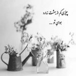 آهنگ تو ایده آل ترین خوابی که بیداری من دیده