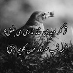 آهنگ عشق از تو به قلب من دیوانه سرایت کند