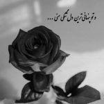 آهنگ آخه تنهایی ام سخته نمیتونم بزنم باز دل به خیابون