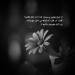 آهنگ وای عجب عشقی من از چشم تو میگیرم