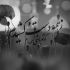 آهنگ عاشق اونم که نیست میمونم و ولی میدونم که نیست