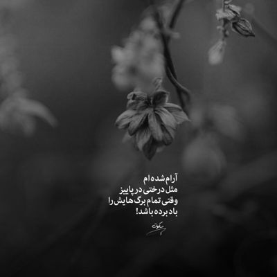 آهنگ دلربای من باش که جان از تو بگیرم