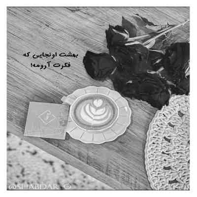 آهنگ هم بال و پری هم تاج سری شاه مرد قلبم