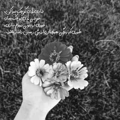 آهنگ شوان نانوی به ته نی