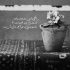 آهنگ بد کاری دستم میدی از تو دستم میری