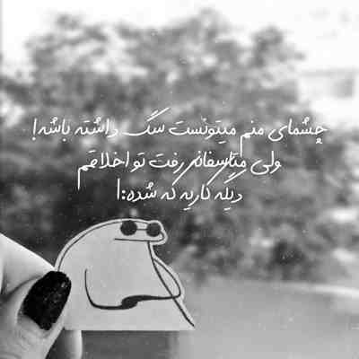 آهنگ دختر کفشدوزکی و پسر گربه ای دوبله فارسی