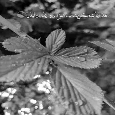آهنگ چه سال گند پیشی