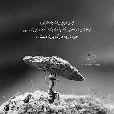 آهنگ اگه این همه داغونم شب روز تو خیابونم