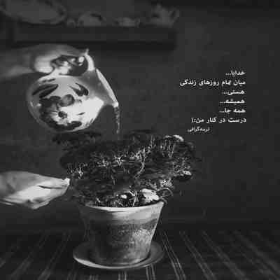 آهنگ خانوم بدن شما چه بی نقصه