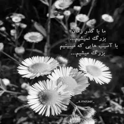آهنگ بیا حس کنیم زندگی شیرینه