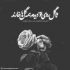 آهنگ ساقیا دیدی که کنعان دلم بیمار شد