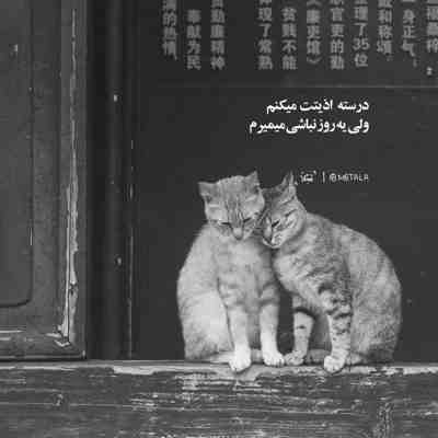 آهنگ دو تا چشات یه ترکیب سمی