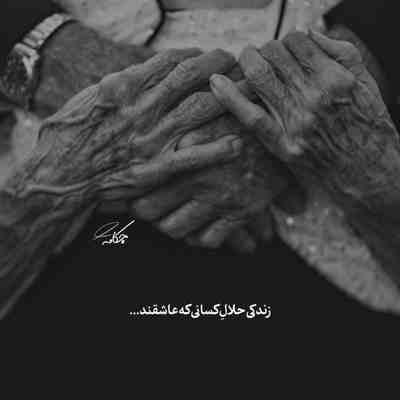 آهنگ خوشگلمو هزار خاطر خواه دارم