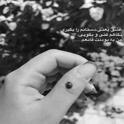 آهنگ تو امشب باید بودی شمعارو با تو فوتش کنم