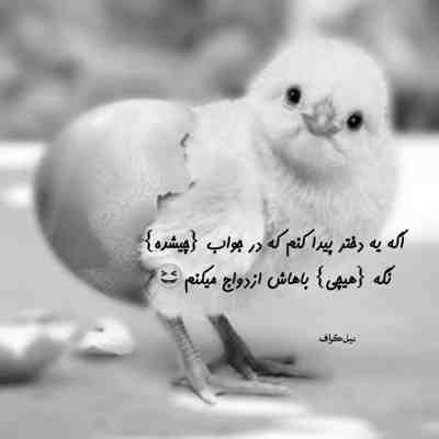 آهنگ تک ستاره تو کوچمون