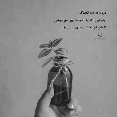 آهنگ دامن تنگی داری رقص قشنگی داری