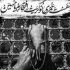مداحی گرفتارم گره افتاده تو کارم ولی بازم تورو دارم جواد مقدم