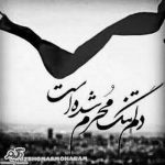 مداحی به ماه آسمون میگفت شمع شبستون منی محمود کریمی